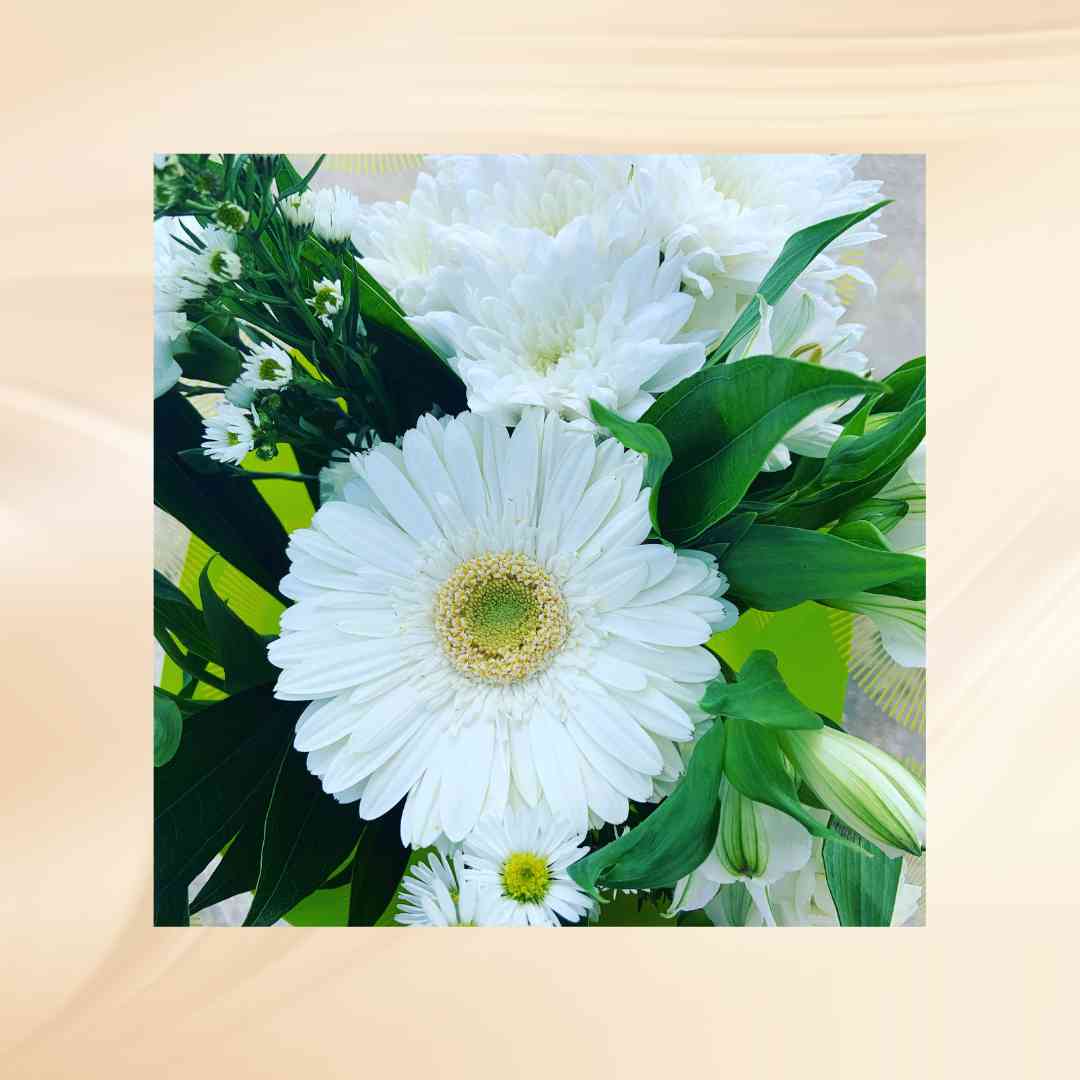 xr:d:DAFeATO1SP8:1,j:1376766858,t:23032309